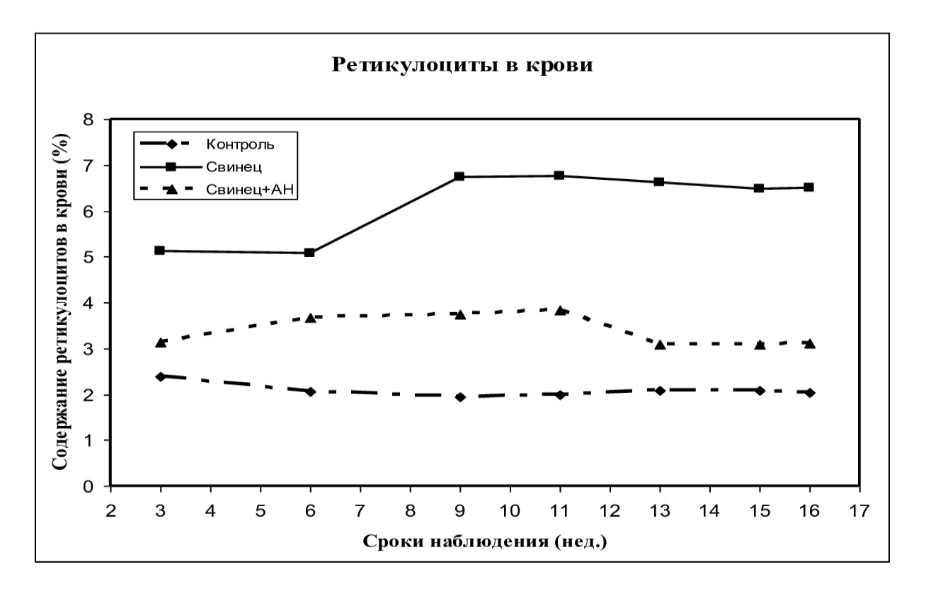 Динамика изменения содержания ретикулоцитов в крови в хроническом эксперименте с использованием АН